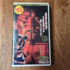 闘魂Vスペシャル　vol.11