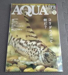 月刊アクアライフ2020年10月号
