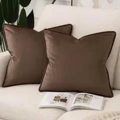 ふんわり高級感❣️ ベルベット　クッションカバー　2枚　フリンジ　北欧　40×4