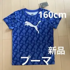 プーマ160cm 半袖Tシャツ　ブルー新品