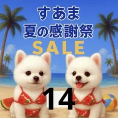 ✨夏の感謝祭セール✨パネル【Ｎｏ．14】