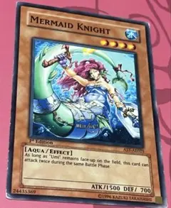 マーメイドナイト　英語