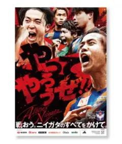 アルビレックス新潟　ポスター引換券