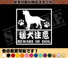 Item thumbnail for item 888142a8-a027-44c0-a864-5e8bc8be9737