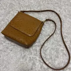 【美品✨】　オーストリッチ　ショルダーバッグ レザー