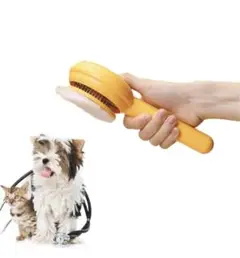 Item thumbnail for item 103f48e4-2ee8-4c39-8031-23020dda0cc1