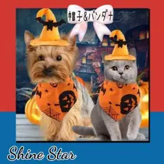 Item thumbnail for item d3be7363-13a0-44fd-99c8-b28b136f3344