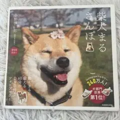 柴犬まるさんぽ DVD未開封