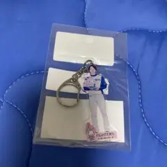 日ハム玉井大翔 可愛いシリーズアクキー