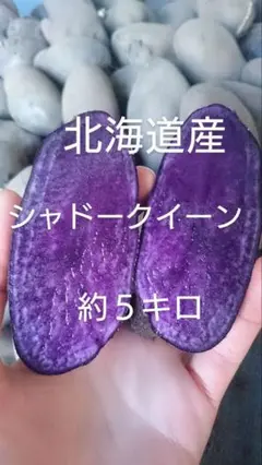 北海道産シャドークイーン約5キロ
