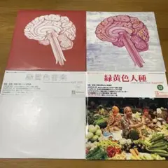 Shing02シンゴ2 中古12