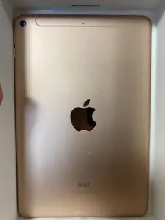 【美品】iPadmini7.9インチ第5世代Wi-Fi+Cellular64GB