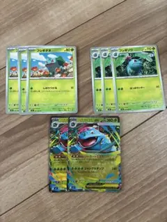メガフシギバナex 進化ライン　2枚セット