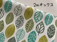 2m　リーフ　葉っぱ　オックス　 アイボリー　グリーン　144
