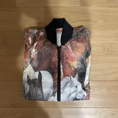 Item thumbnail for item 8c238b05-3dce-4d55-b5b8-f34f520911b0