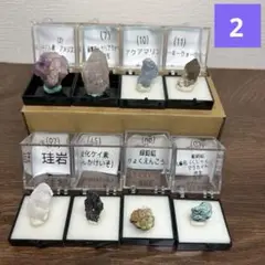 ★在庫処分★天然石　原石　鉱物標本　8個セット　ケース付き(2)