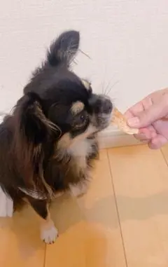 お肉やさんのササミジャーキー 100% 無添加 無着色 3パックセット