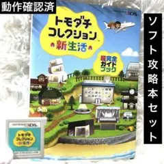 3DS トモダチコレクション 新生活 ソフト 動作確認済 攻略本付