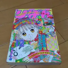 りぼん　1993年12月号　本誌のみ