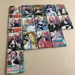 最終値下げ 小説 ゼロの使い魔 1〜14,16