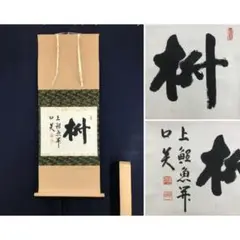 Item thumbnail for item eb61c4ef-7f16-4ce5-9446-b73fa3229548