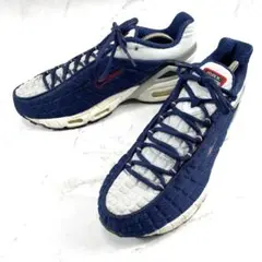 【美品】 NIKE AIR MAX TAILWIND V SP 27