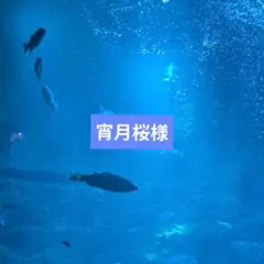宵月桜様