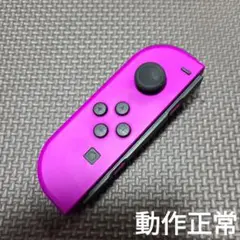 Nintendo Switch　ジョイコン　パープル