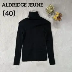 ALDRIDGE JEUNEリブ編み タートルネック ニットセーター 黒(40)