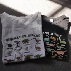 恐竜デザインTシャツ2枚セット