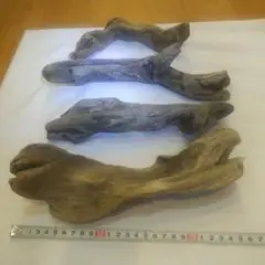 Item thumbnail for item 03e03cfd-20ca-4c17-af33-c31248b02a3c