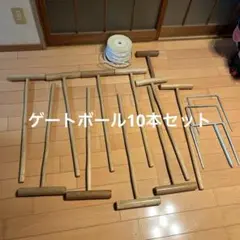 ゲートボール10本セット