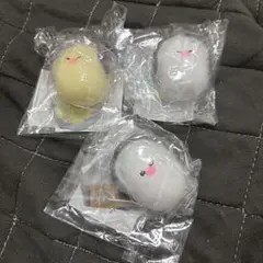 やわら牡蠣　スクイーズ.
