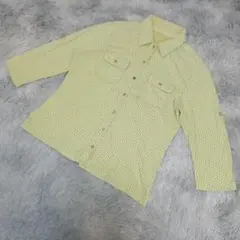 本日限定価格 LANDS'END ✨ ランズエンド シャツ 【L】 グリーン