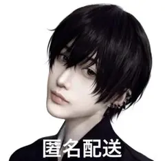 新品未使用 ブラック ウィッグ レイヤー ユニセックス コスプレ 男装 即日発送