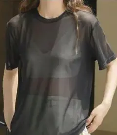 シアーTシャツ シースルー　メッシュTシャツ 重ね着