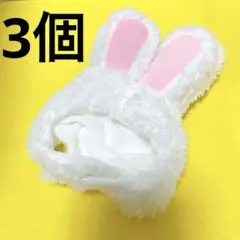 Item thumbnail for item cd06aace-f9a9-4819-921e-b08a71d03f3a