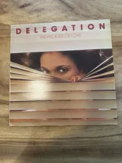 2025年最新】delegation レコードの人気アイテム - メルカリ