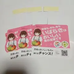 茨ひより　ポップ　3枚セット