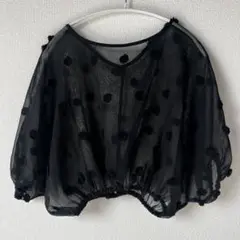 SPRAY PREMIUM シースルートップス　シアーブラウス　ブラック