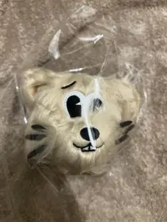 レア　スキチュウ　ストレイキッズ