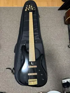 Sugi NB5 ベース　セミハードケース RAINBOW（レインボー）ベースケース｜-chuya-online-