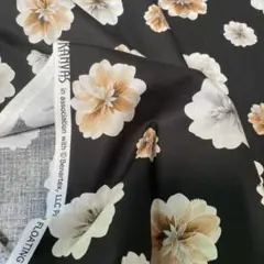 50㎝
