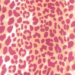 Item thumbnail for item e950e758-3d27-4bbc-aa60-6c69f966fba4