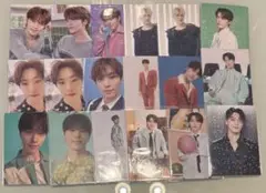seventeen ディノ トレカ