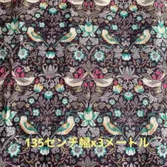 Item thumbnail for item 3b11519b-1603-445e-9e88-7ab16f153a40