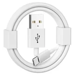 タイプc ケーブル 対応 iPhone 16/15/16e充電ケーブル、1m