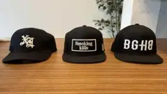 Item thumbnail for item 87184f41-37a3-4fe8-9107-5588d5a31135