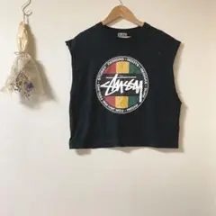 【stussy ステューシー】半袖Tシャツ ブラック コットン プリント入り
