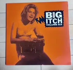 THE BIG ITCH VOL.6 LP